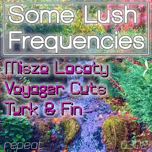 Some Lush Frequencies Friday December party at repeat bar berlin