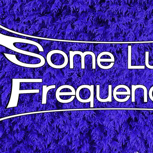 Some Lush Frequencies Friday party repeat bar berlin